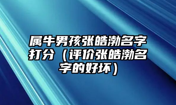 属牛男孩张皓渤名字打分（评价张皓渤名字的好坏）