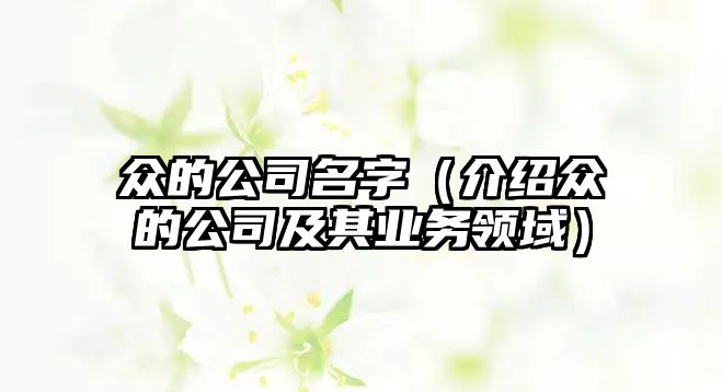 众的公司名字（介绍众的公司及其业务领域）