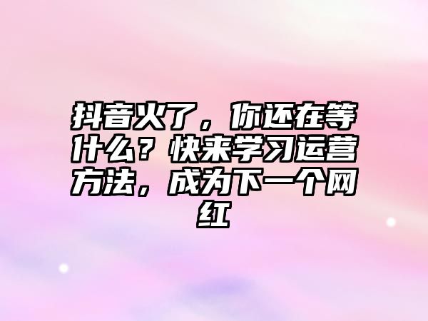 抖音火了，你还在等什么？快来学习运营方法，成为下一个网红