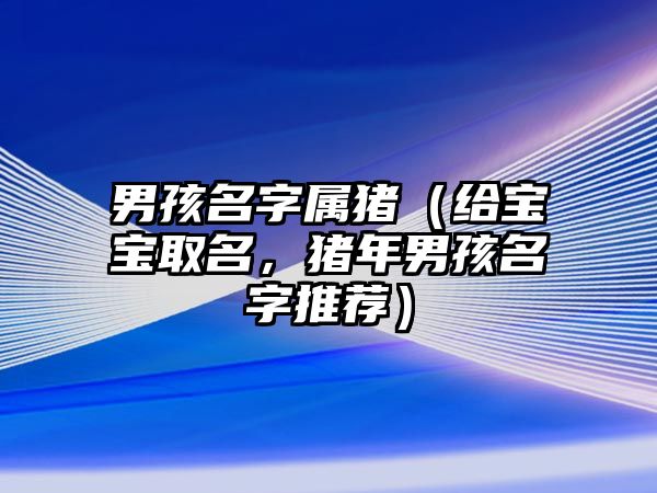 男孩名字属猪（给宝宝取名，猪年男孩名字推荐）