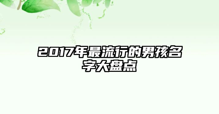 2017年最流行的男孩名字大盘点