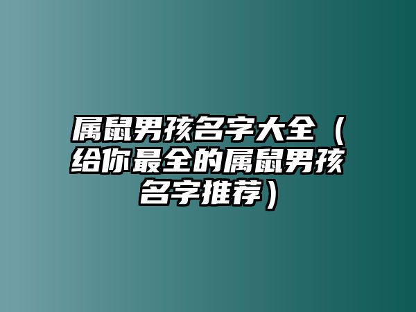 属鼠男孩名字大全（给你最全的属鼠男孩名字推荐）