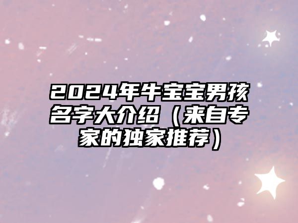 2024年牛宝宝男孩名字大介绍（来自专家的独家推荐）