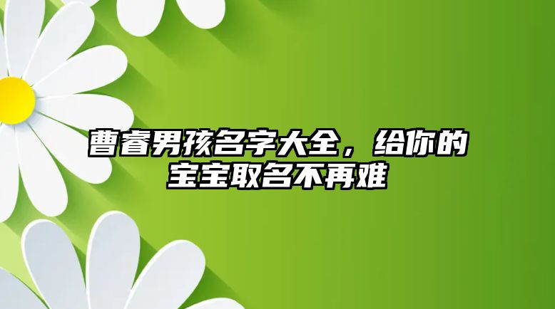 曹睿男孩名字大全，给你的宝宝取名不再难