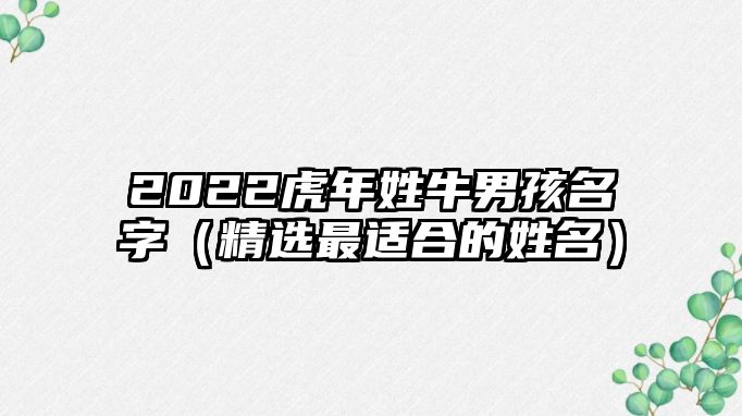 2022虎年姓牛男孩名字（精选最适合的姓名）