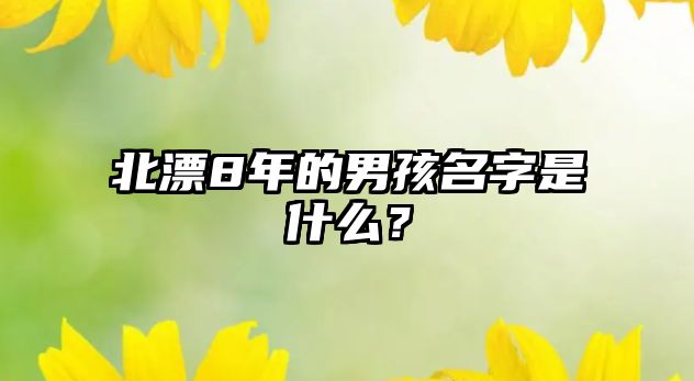 北漂8年的男孩名字是什么？