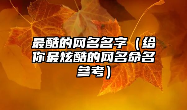 最酷的网名名字（给你最炫酷的网名命名参考）