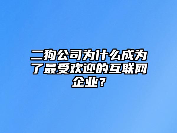 二狗公司为什么成为了最受欢迎的互联网企业？