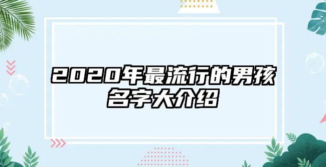 2020年最流行的男孩名字大介绍