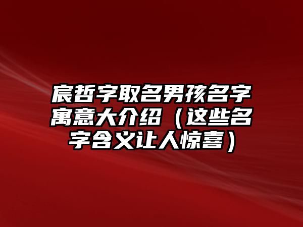 宸哲字取名男孩名字寓意大介绍（这些名字含义让人惊喜）