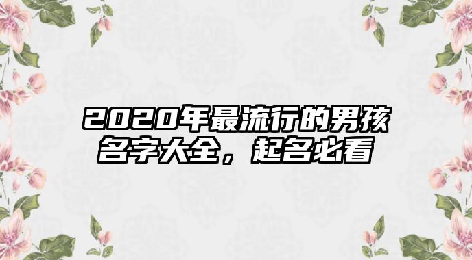 2020年最流行的男孩名字大全，起名必看