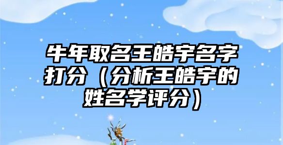 牛年取名王皓宇名字打分（分析王皓宇的姓名学评分）