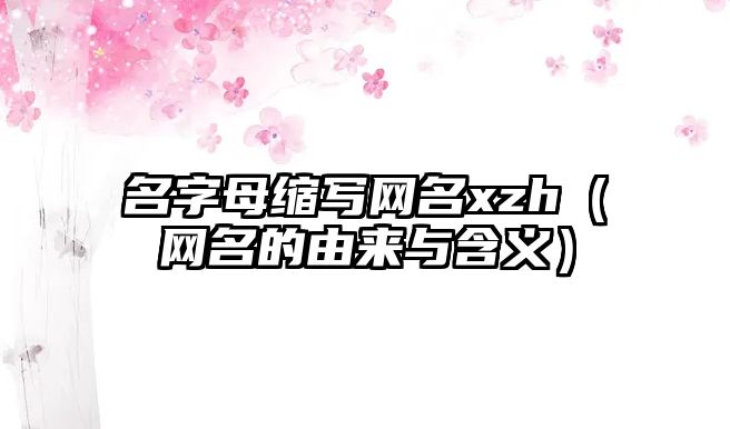 名字母缩写网名xzh（网名的由来与含义）