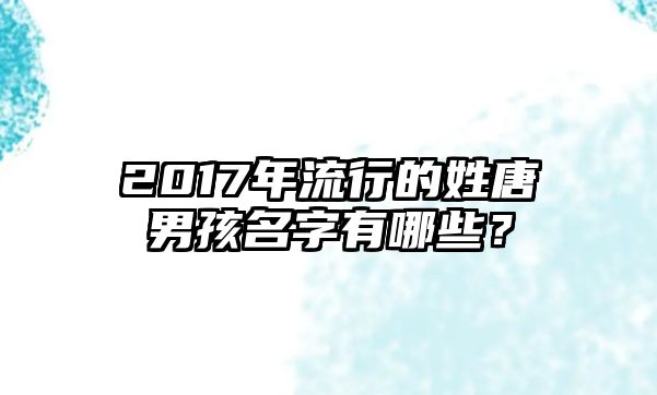 2017年流行的姓唐男孩名字有哪些？