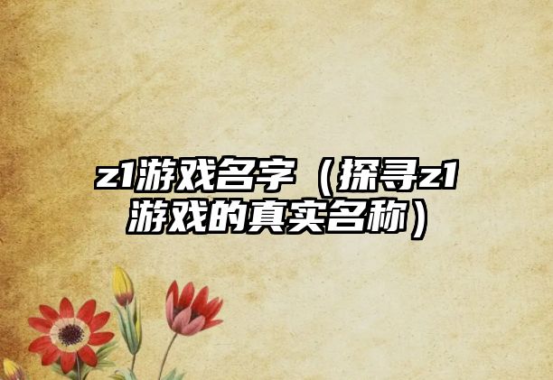 z1游戏名字（探寻z1游戏的真实名称）