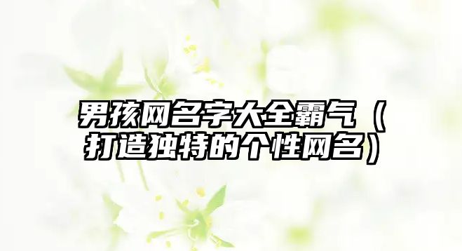 男孩网名字大全霸气（打造独特的个性网名）