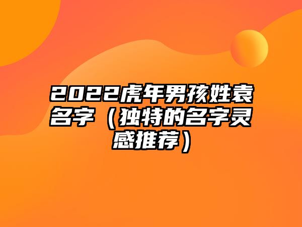 2022虎年男孩姓袁名字（独特的名字灵感推荐）