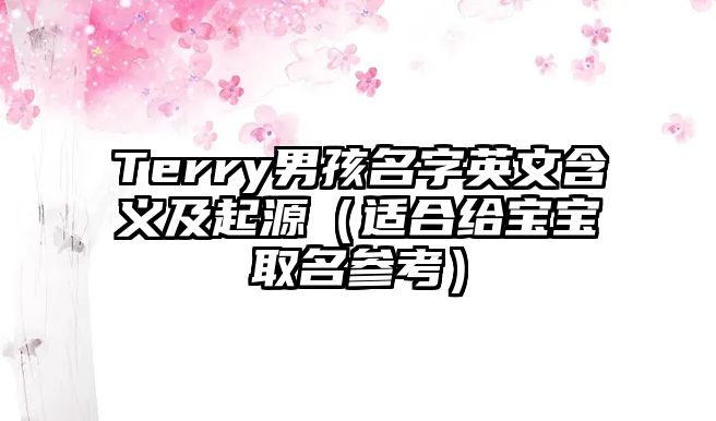 Terry男孩名字英文含义及起源（适合给宝宝取名参考）