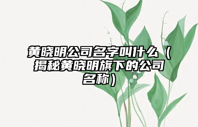 黄晓明公司名字叫什么（揭秘黄晓明旗下的公司名称）