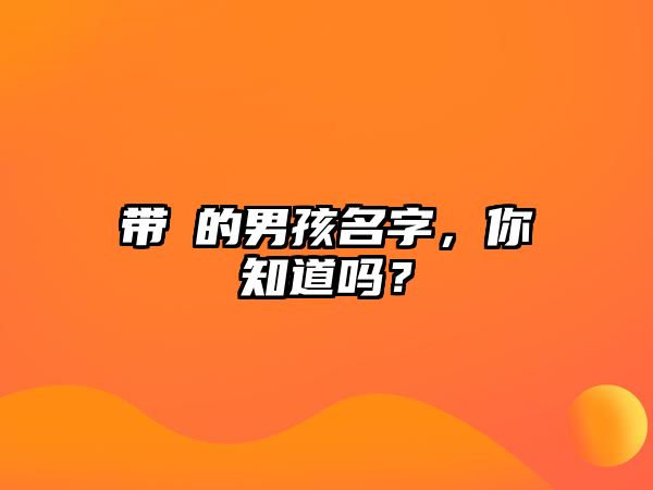 带堃的男孩名字，你知道吗？