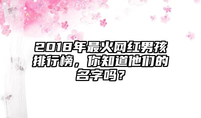 2018年最火网红男孩排行榜，你知道他们的名字吗？