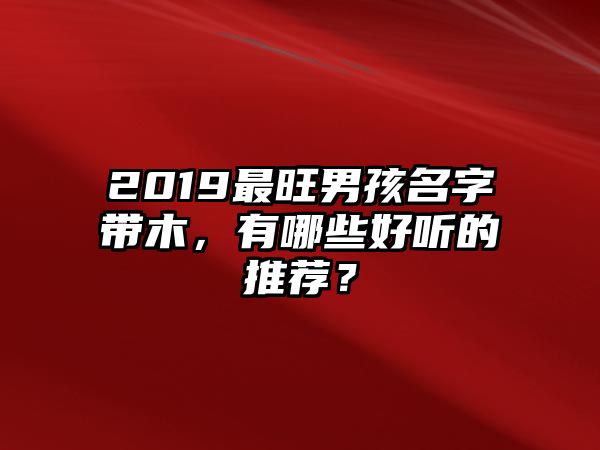 2019最旺男孩名字带木，有哪些好听的推荐？