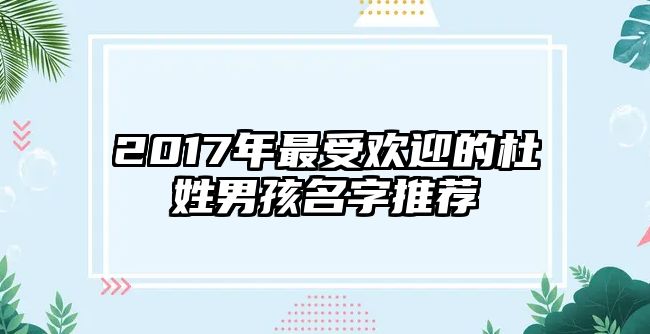 2017年最受欢迎的杜姓男孩名字推荐