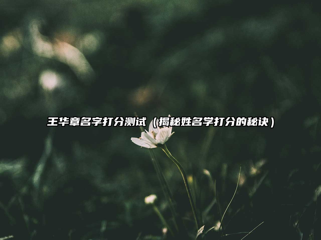 王华章名字打分测试（揭秘姓名学打分的秘诀）