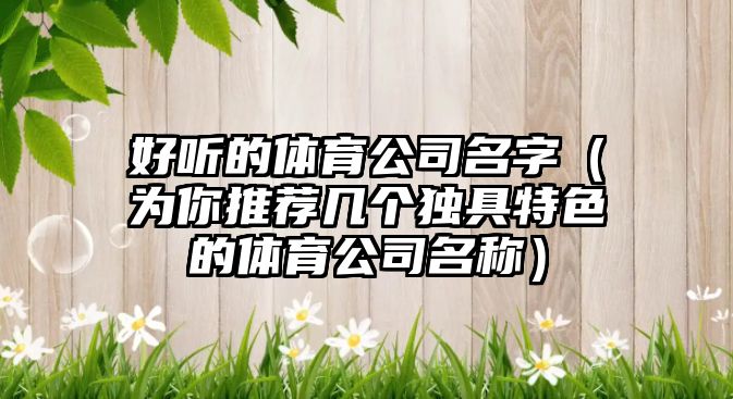 好听的体育公司名字（为你推荐几个独具特色的体育公司名称）