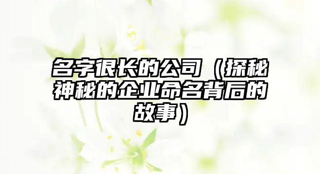 名字很长的公司（探秘神秘的企业命名背后的故事）