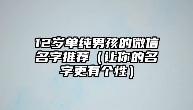 12岁单纯男孩的微信名字推荐（让你的名字更有个性）