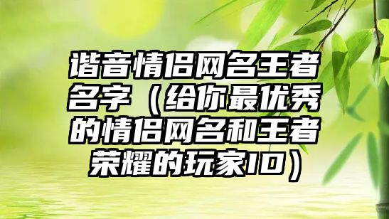 谐音情侣网名王者名字（给你最优秀的情侣网名和王者荣耀的玩家ID）