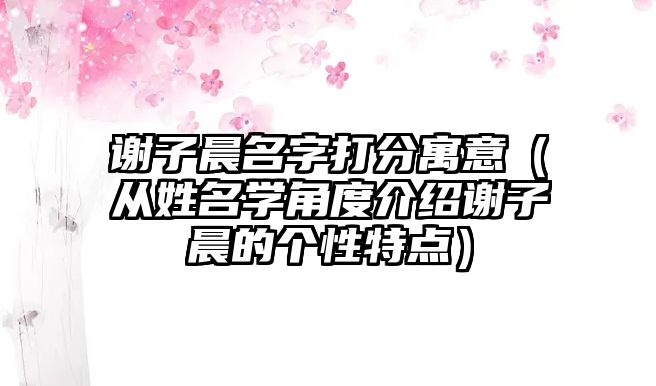 谢子晨名字打分寓意（从姓名学角度介绍谢子晨的个性特点）