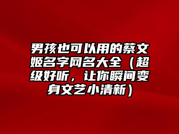 男孩也可以用的蔡文姬名字网名大全（超级好听，让你瞬间变身文艺小清新）