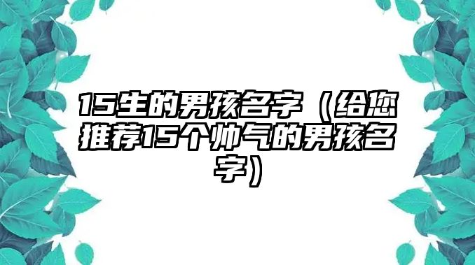 15生的男孩名字（给您推荐15个帅气的男孩名字）