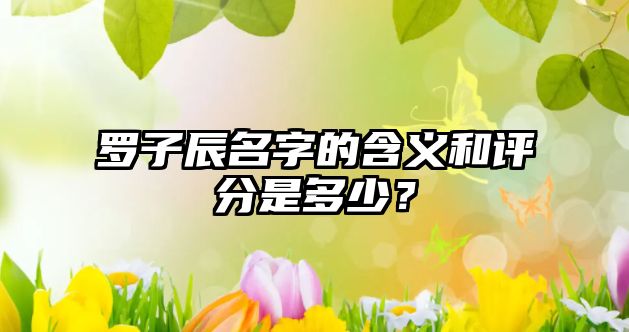 罗子辰名字的含义和评分是多少？