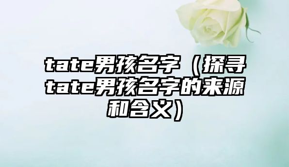 tate男孩名字（探寻tate男孩名字的来源和含义）