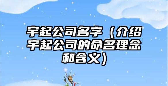 宇起公司名字（介绍宇起公司的命名理念和含义）