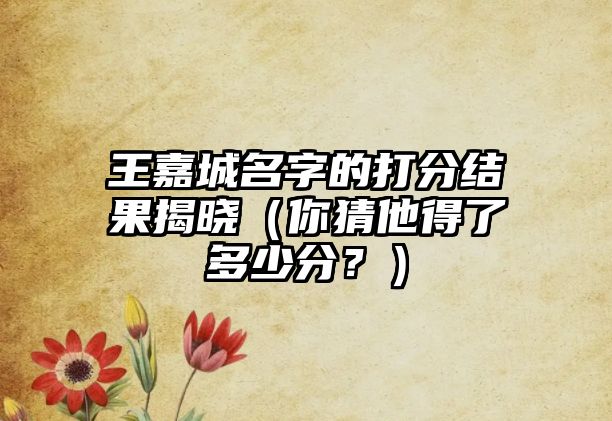 王嘉城名字的打分结果揭晓（你猜他得了多少分？）