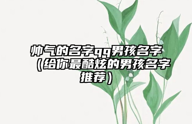 帅气的名字qq男孩名字（给你最酷炫的男孩名字推荐）