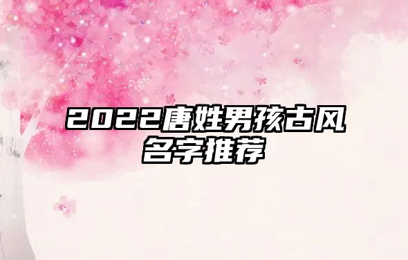 2022唐姓男孩古风名字推荐