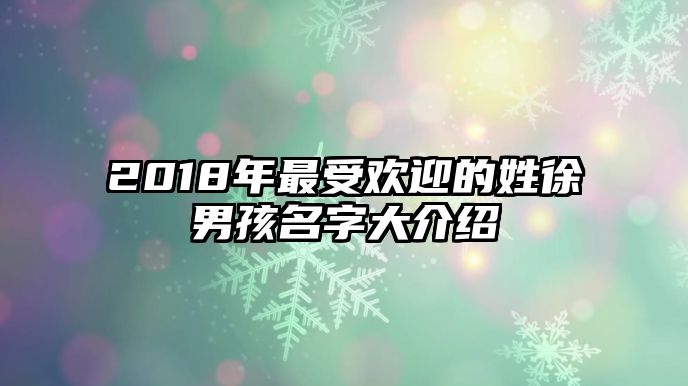 2018年最受欢迎的姓徐男孩名字大介绍