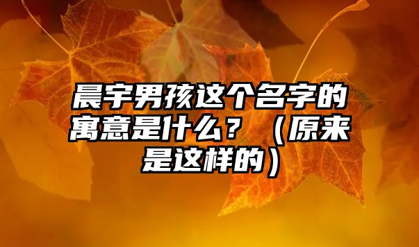 晨宇男孩这个名字的寓意是什么？（原来是这样的）