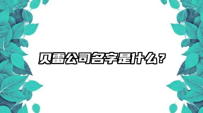 贝雷公司名字是什么？