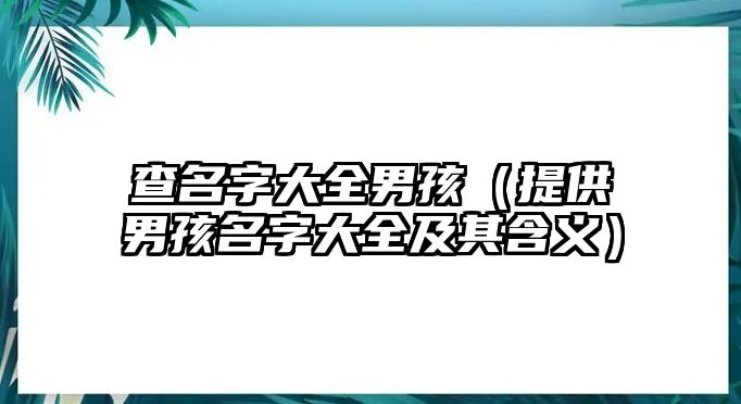 查名字大全男孩（提供男孩名字大全及其含义）