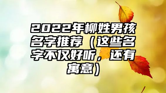 2022年柳姓男孩名字推荐（这些名字不仅好听，还有寓意）