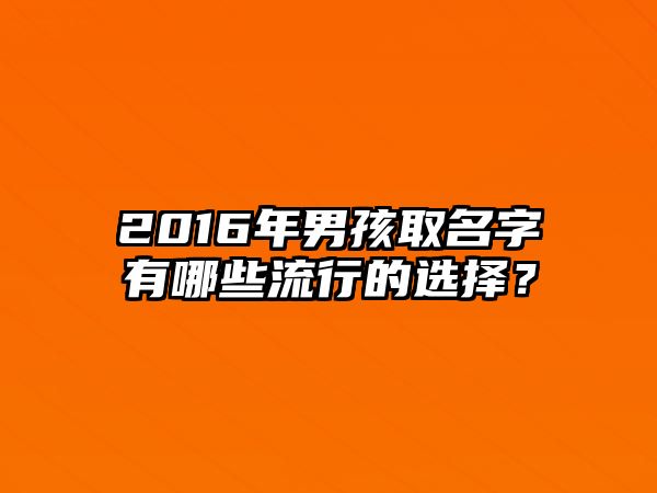 2016年男孩取名字有哪些流行的选择？