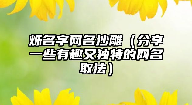 烁名字网名沙雕（分享一些有趣又独特的网名取法）