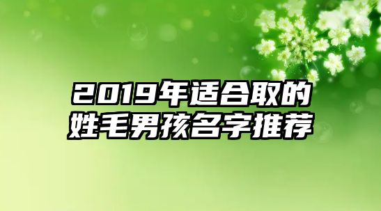 2019年适合取的姓毛男孩名字推荐