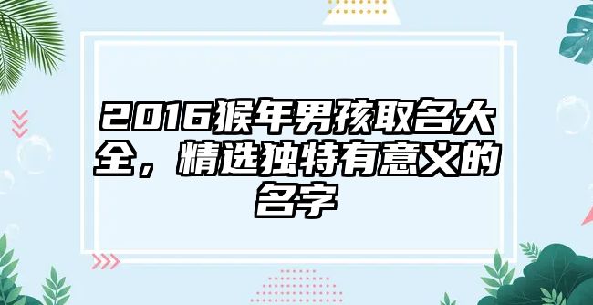 2016猴年男孩取名大全，精选独特有意义的名字